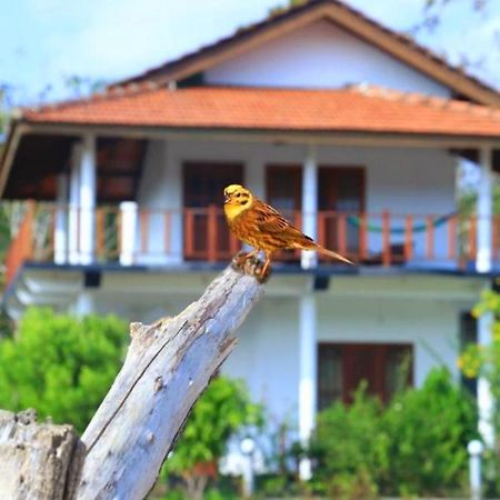 Pearl Cave Cabanas & Resturant Тангалла Экстерьер фото