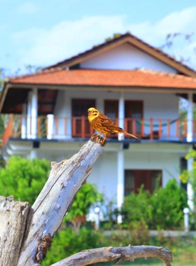 Pearl Cave Cabanas & Resturant Тангалла Экстерьер фото